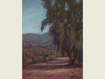 EucalyptusAndGrapevinesDET35