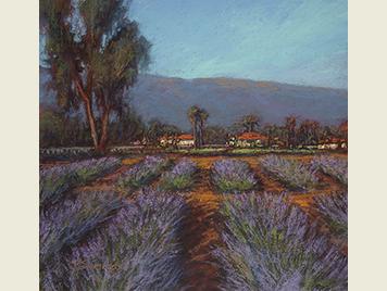 OjaiLavenderFieldDET34