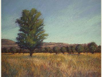 SanJuansOpenSpaceDET23