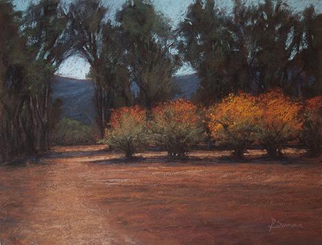 OjaiConservationTrailHm1