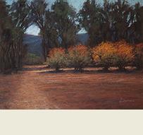 OjaiConservationTrailTHB33