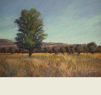 SanJuansOpenSpaceTHB1