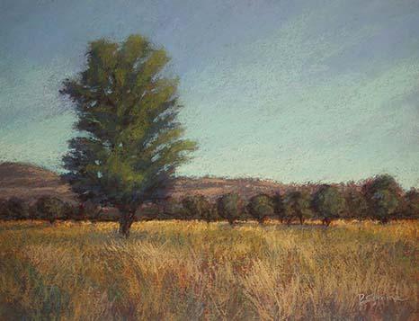 SanJuansOpenSpaceHm5